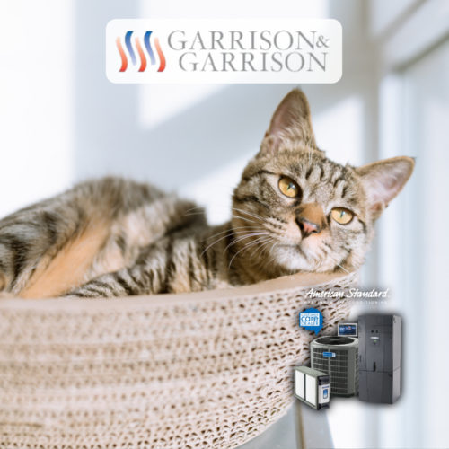 3 Benefits of Indoor Air Quality