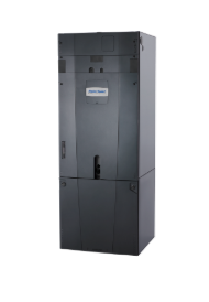 forefront platinum tam4