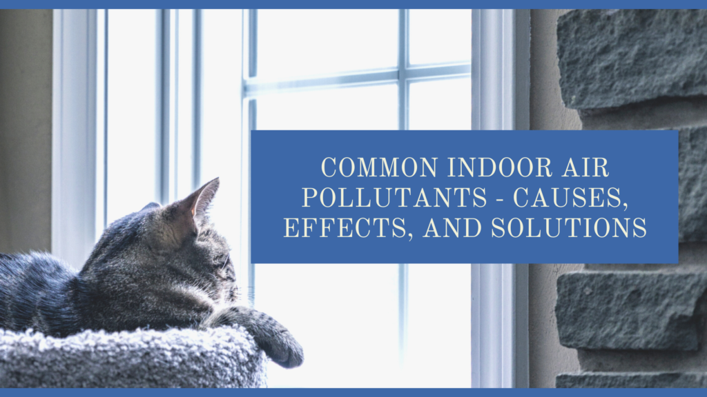 Indoor Air Pollutants