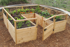 How to Start Your Own Garden This Spring
