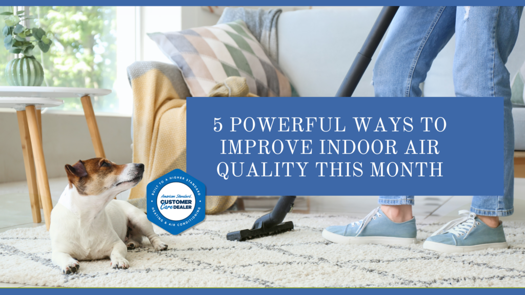 5 Powerful Ways to Improve Indoor Air Quality This Month